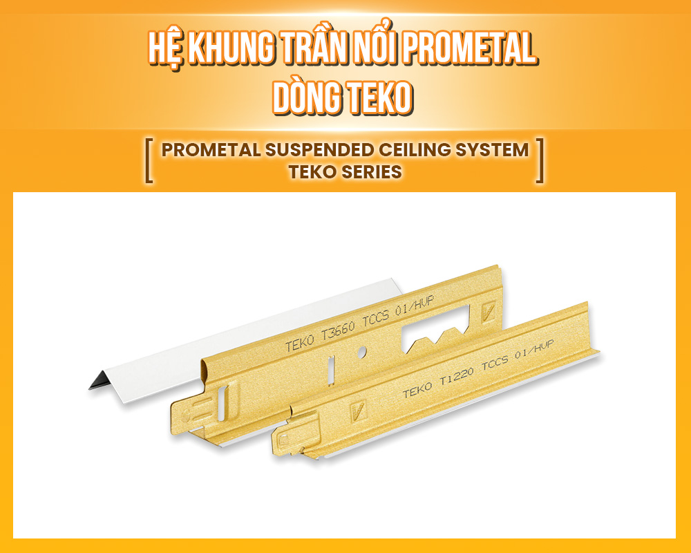 DÒNG TEKO